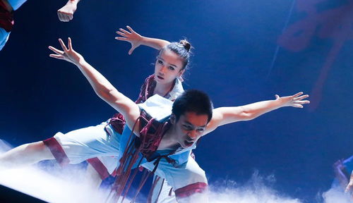 精品紛呈 視覺盛宴 章云燕名家工作室舞蹈作品展演燃情舞動(dòng)